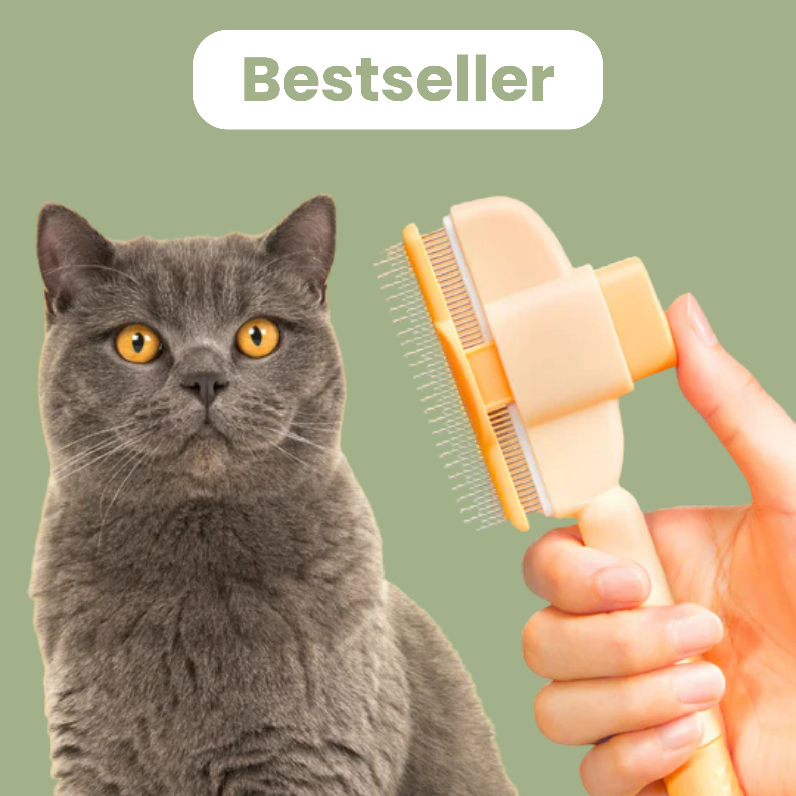 Brosse anti-poil pour chat