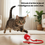 CrazyBall™ - Balle Interactive