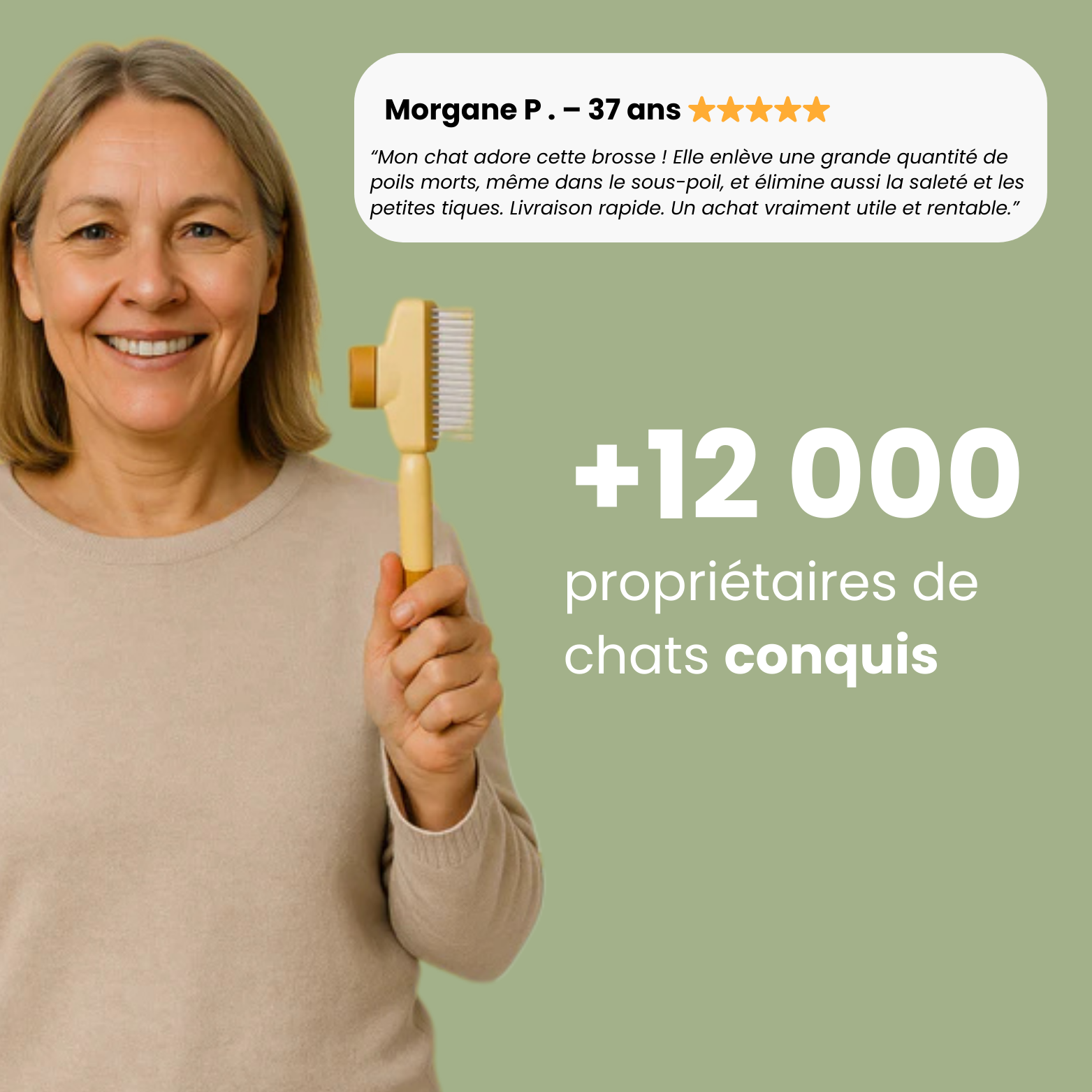 Brosse anti-poil pour chat