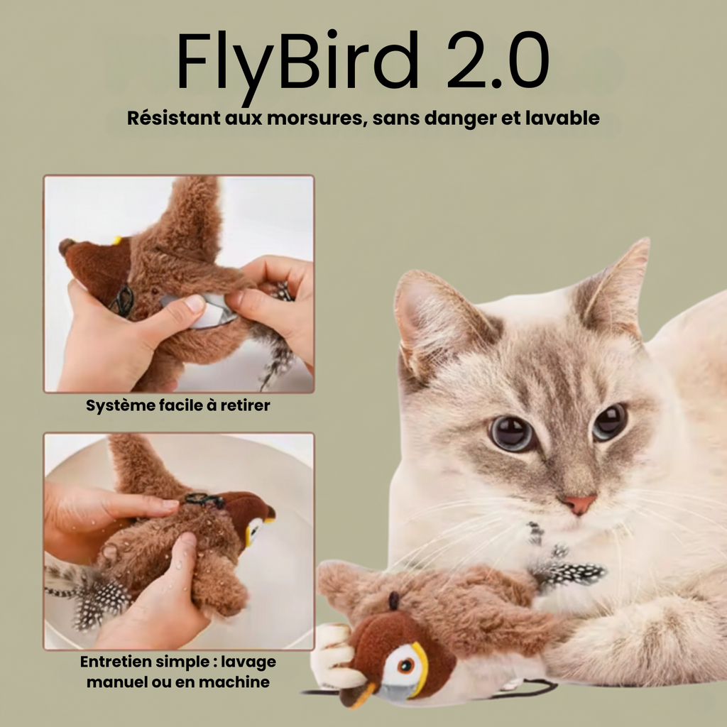 FlyBird 2.0