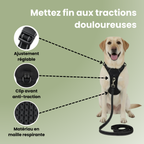 FlexControl™ – Harnais anti-traction