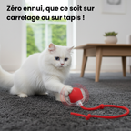 CrazyBall™ - Balle Interactive