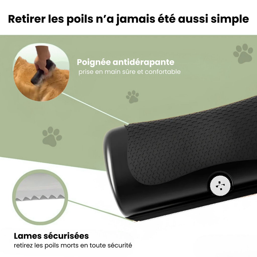 La Brosse Magique pour chien