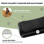 La Brosse Magique pour chien