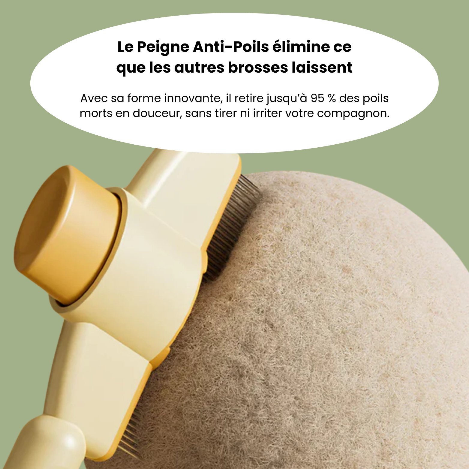 Brosse anti-poil pour chat