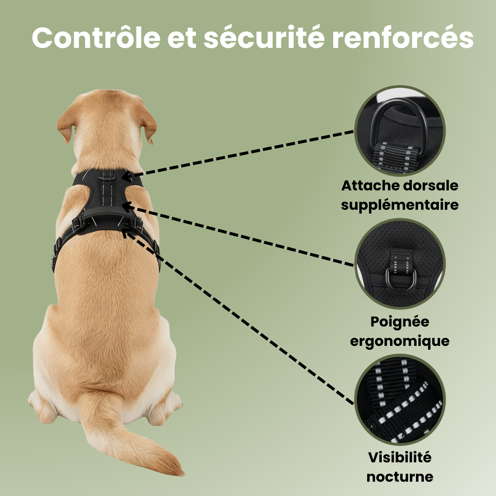 FlexControl™ – Harnais anti-traction