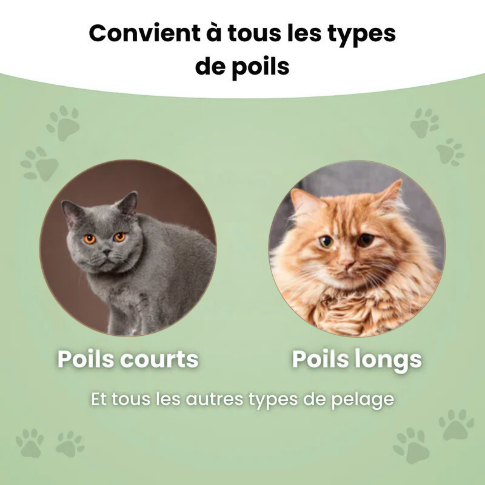 Brosse anti-poil pour chat