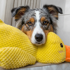 ZenDuck™ - Canard anti-stress