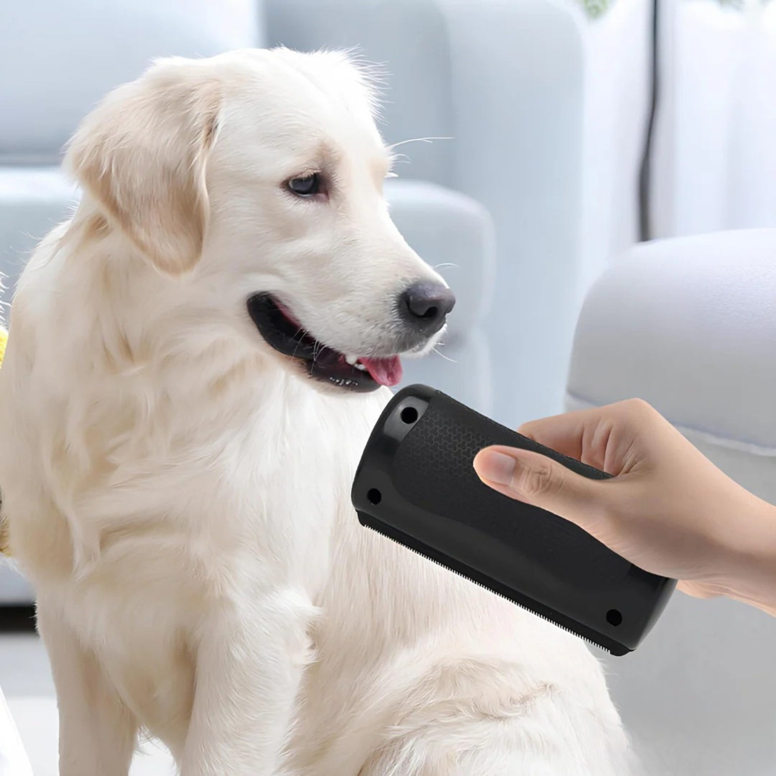La Brosse Magique pour chien