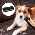 La Brosse Magique pour chien