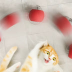 CrazyBall™ - Balle Interactive