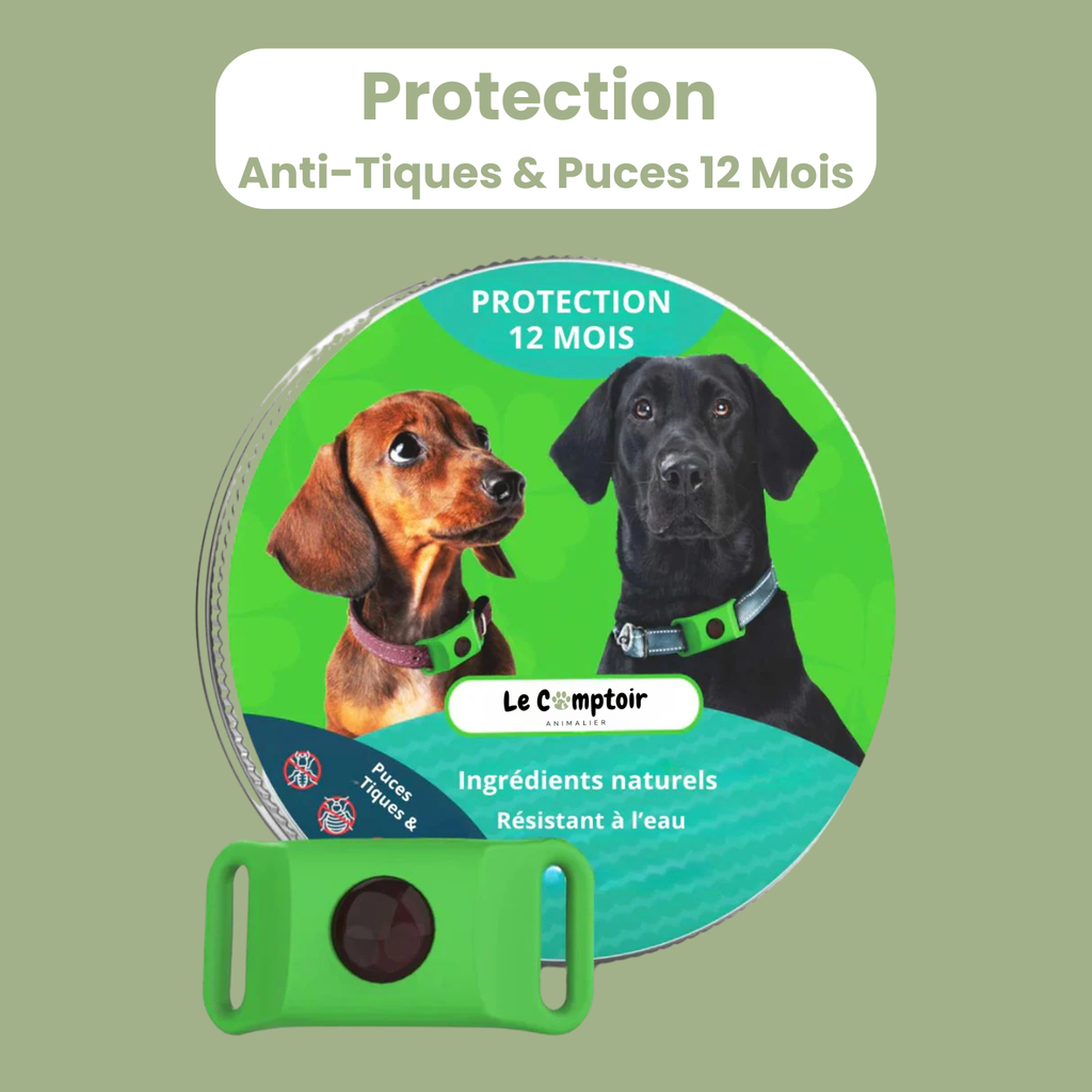 Médaillon Répulsif Naturel