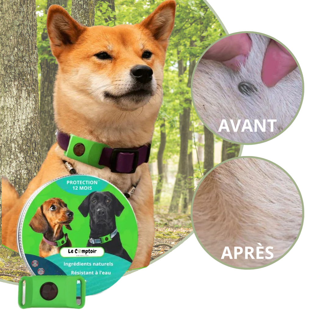 Médaillon Répulsif Naturel